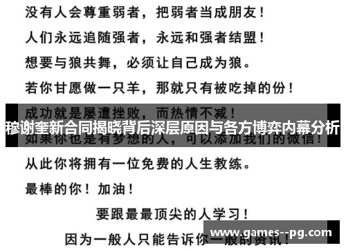 穆谢奎新合同揭晓背后深层原因与各方博弈内幕分析